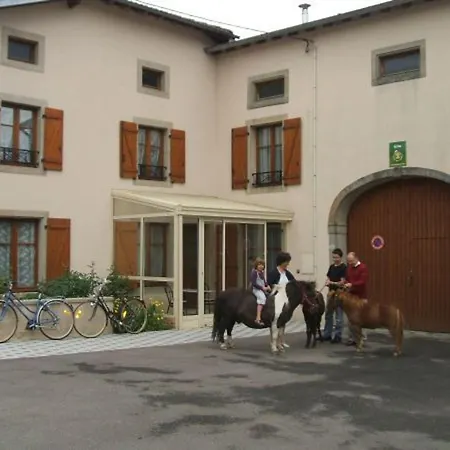 Maison Authentique Avec Cheminee, Grand Jardin, Activites Et Proche De Vittel - Fr-1-589-119